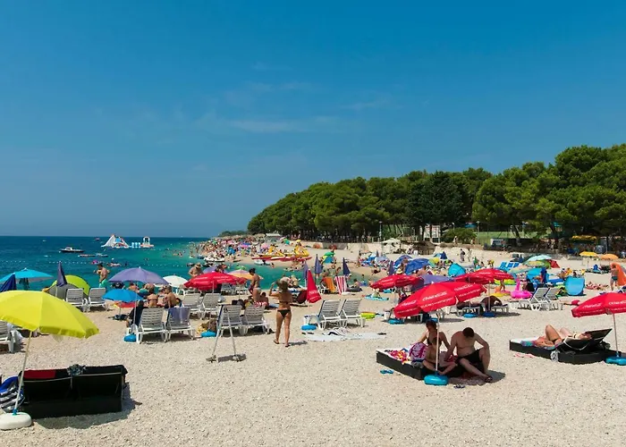 Damir * פרימוסטן