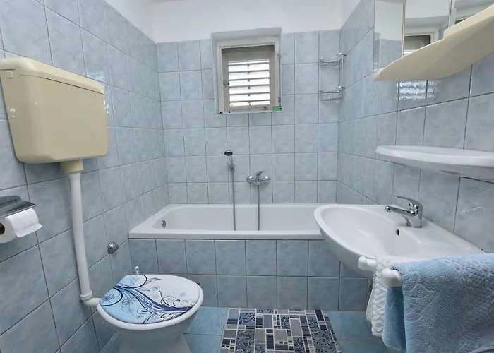 Damir פרימוסטן